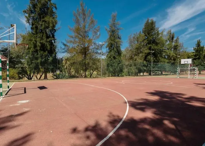 Moderno Vistas A La Montana *